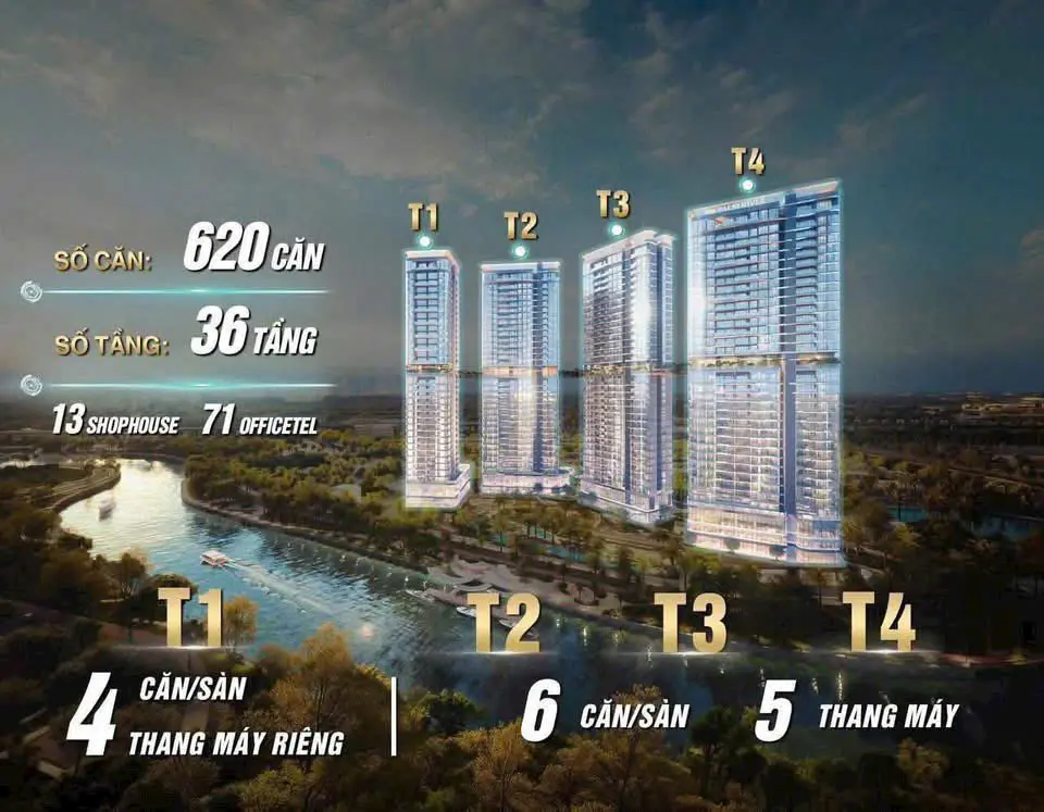 Palm River - Hướng Việt Properties