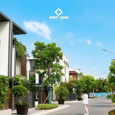 La Home Prodezi Long An: Giá bán – Cho thuê – Tiến Độ T8 – 2026